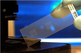 （图片摘自网络）