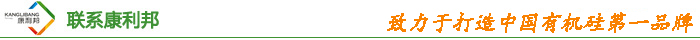 联系康利邦